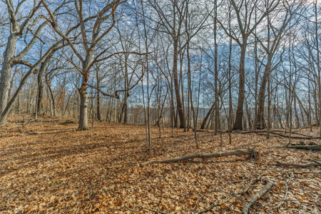 95± Acres Driftless Hunting & Recreational Land Richland County, - image 18