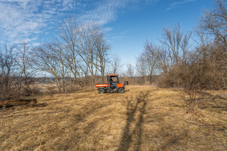 95± Acres Driftless Hunting & Recreational Land Richland County, - image 12