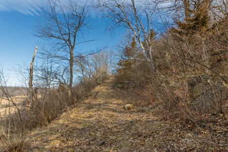 95± Acres Driftless Hunting & Recreational Land Richland County, - image 5
