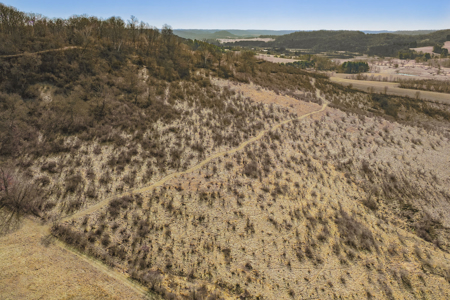95± Acres Driftless Hunting & Recreational Land Richland County, - image 49