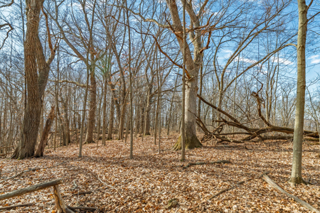 95± Acres Driftless Hunting & Recreational Land Richland County, - image 23