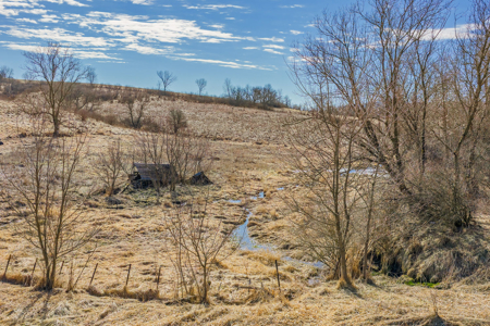 95± Acres Driftless Hunting & Recreational Land Richland County, - image 43