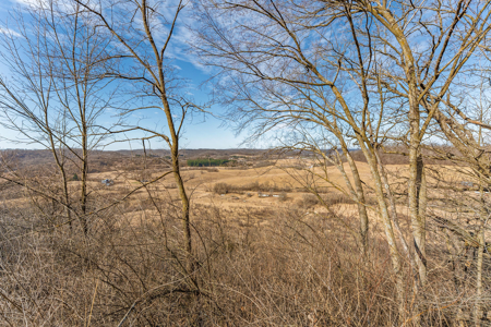 95± Acres Driftless Hunting & Recreational Land Richland County, - image 14