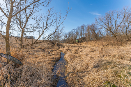 95± Acres Driftless Hunting & Recreational Land Richland County, - image 3