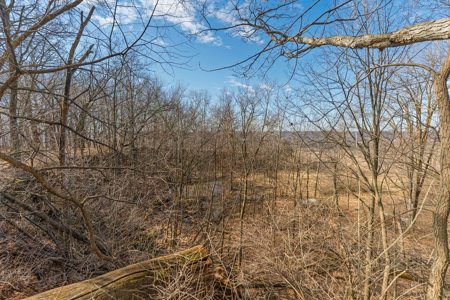 95± Acres Driftless Hunting & Recreational Land Richland County, - image 22