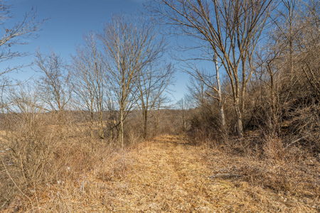 95± Acres Driftless Hunting & Recreational Land Richland County, - image 16