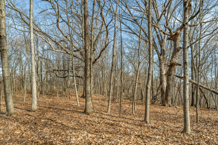 95± Acres Driftless Hunting & Recreational Land Richland County, - image 24