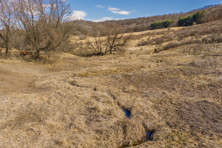 95± Acres Driftless Hunting & Recreational Land Richland County, - image 45