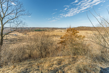 95± Acres Driftless Hunting & Recreational Land Richland County, - image 25