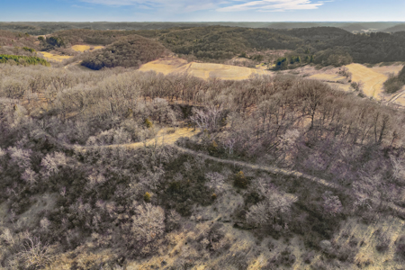 95± Acres Driftless Hunting & Recreational Land Richland County, - image 32