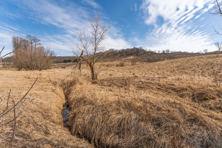95± Acres Driftless Hunting & Recreational Land Richland County, - image 27