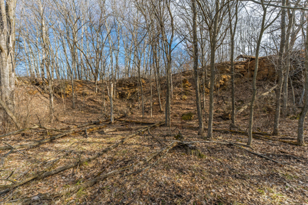 95± Acres Driftless Hunting & Recreational Land Richland County, - image 10