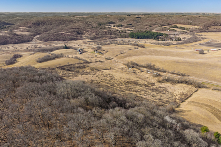 95± Acres Driftless Hunting & Recreational Land Richland County, - image 36