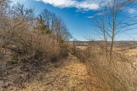 95± Acres Driftless Hunting & Recreational Land Richland County, - image 15
