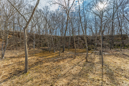 95± Acres Driftless Hunting & Recreational Land Richland County, - image 8