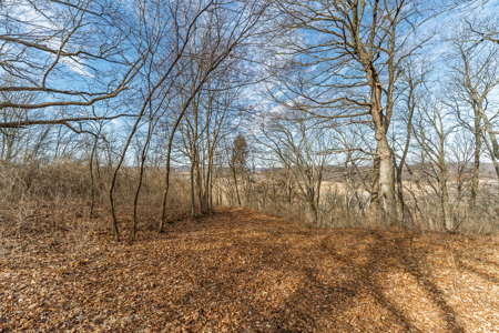 95± Acres Driftless Hunting & Recreational Land Richland County, - image 19