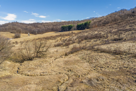 95± Acres Driftless Hunting & Recreational Land Richland County, - image 44