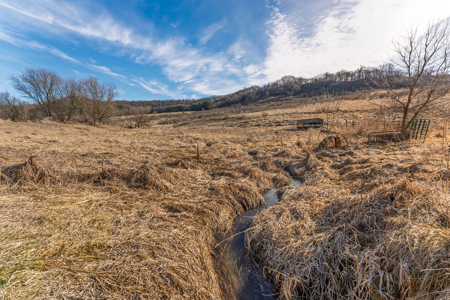 95± Acres Driftless Hunting & Recreational Land Richland County, - image 2