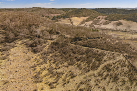 50 Acre Recreational -Hunting Land For Sale Richland County WI - image 31