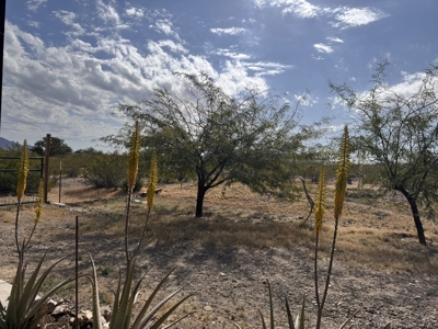 Unique Off-Grid survivalist home on 10 Acres in Salome, Arizona - image 37