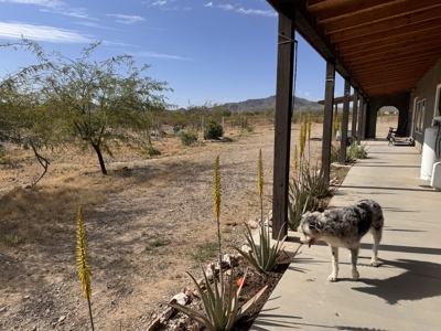 Unique Off-Grid survivalist home on 10 Acres in Salome, Arizona - image 38