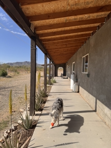 Unique Off-Grid survivalist home on 10 Acres in Salome, Arizona - image 42