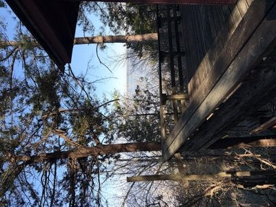 Four Hilltop Cabins Overlooking Millwood Lake With Two Boat Sheds - image 11