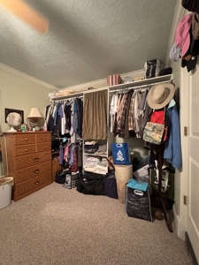 Quartzsite Gem: Two Homes, RV Hookups & Garage on 1/2 Acre - image 33