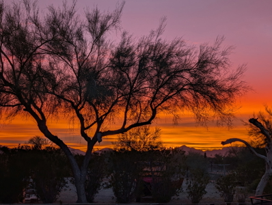 Quartzsite Gem: Two Homes, RV Hookups & Garage on 1/2 Acre - image 38