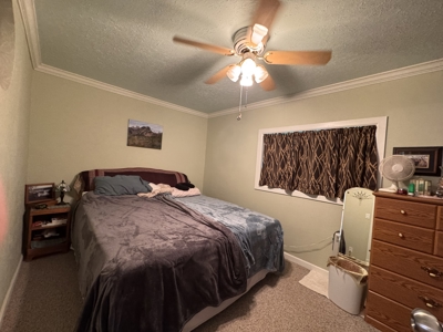 Quartzsite Gem: Two Homes, RV Hookups & Garage on 1/2 Acre - image 31
