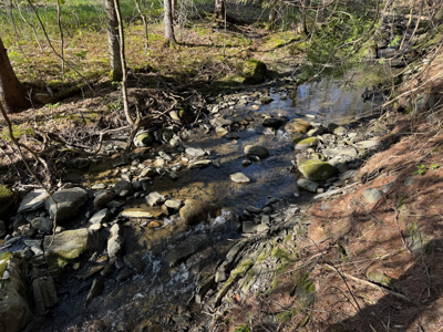 Rare 13-acre Bangor Estate with Guest House - image 30
