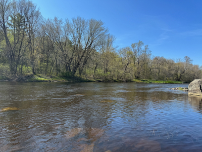 Rare 13-acre Bangor Estate with Guest House - image 28