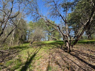 Rare 13-acre Bangor Estate with Guest House - image 27