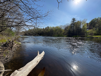 Rare 13-acre Bangor Estate with Guest House - image 29