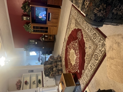 Midland City, Alabama 3 Bedroom - 2 Bathroom Mobile Home - image 4