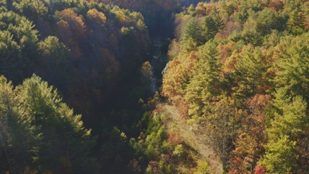 Unrestricted Acres Bordering the Cherokee National Forest East TN - image 3