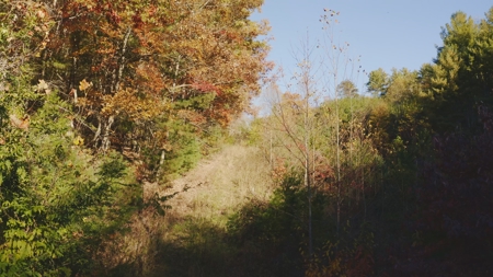 Unrestricted Acres Bordering the Cherokee National Forest East TN - image 8