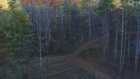 Unrestricted Acres Bordering the Cherokee National Forest East TN - image 32