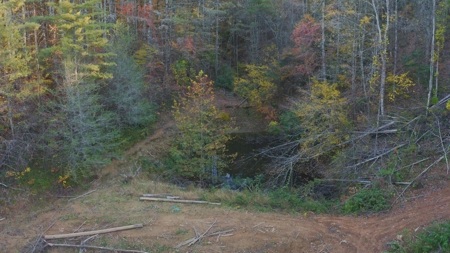Unrestricted Acres Bordering the Cherokee National Forest East TN - image 4