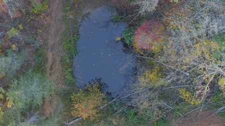 Unrestricted Acres Bordering the Cherokee National Forest East TN - image 5