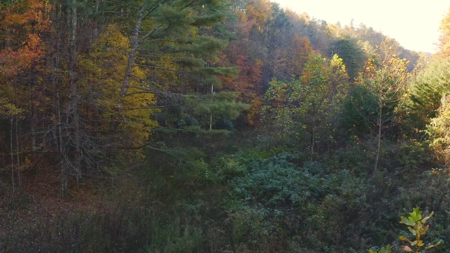 Unrestricted Acres Bordering the Cherokee National Forest East TN - image 16