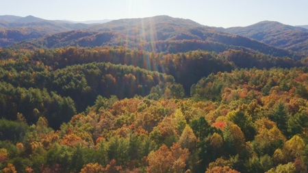 Unrestricted Acres Bordering the Cherokee National Forest East TN - image 31