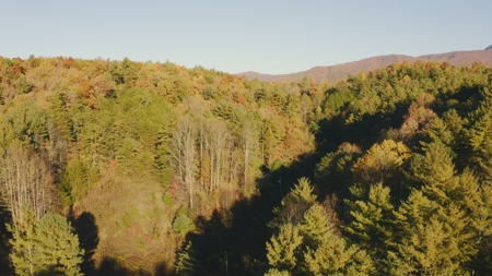 Unrestricted Acres Bordering the Cherokee National Forest East TN - image 30
