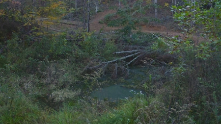 Unrestricted Acres Bordering the Cherokee National Forest East TN - image 28