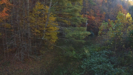 Unrestricted Acres Bordering the Cherokee National Forest East TN - image 17