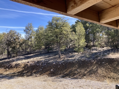 Great Newer Construction Near Chama and Tierra Amarilla - image 7
