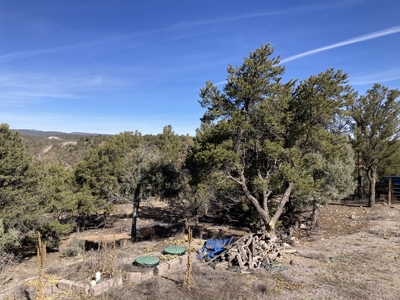 Great Newer Construction Near Chama and Tierra Amarilla - image 6