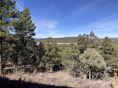 Great Newer Construction Near Chama and Tierra Amarilla - image 5