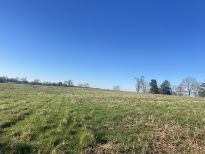 Large Country Home Ash Flat AR for Sale - image 48