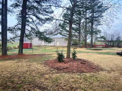 Large Country Home Ash Flat AR for Sale - image 15